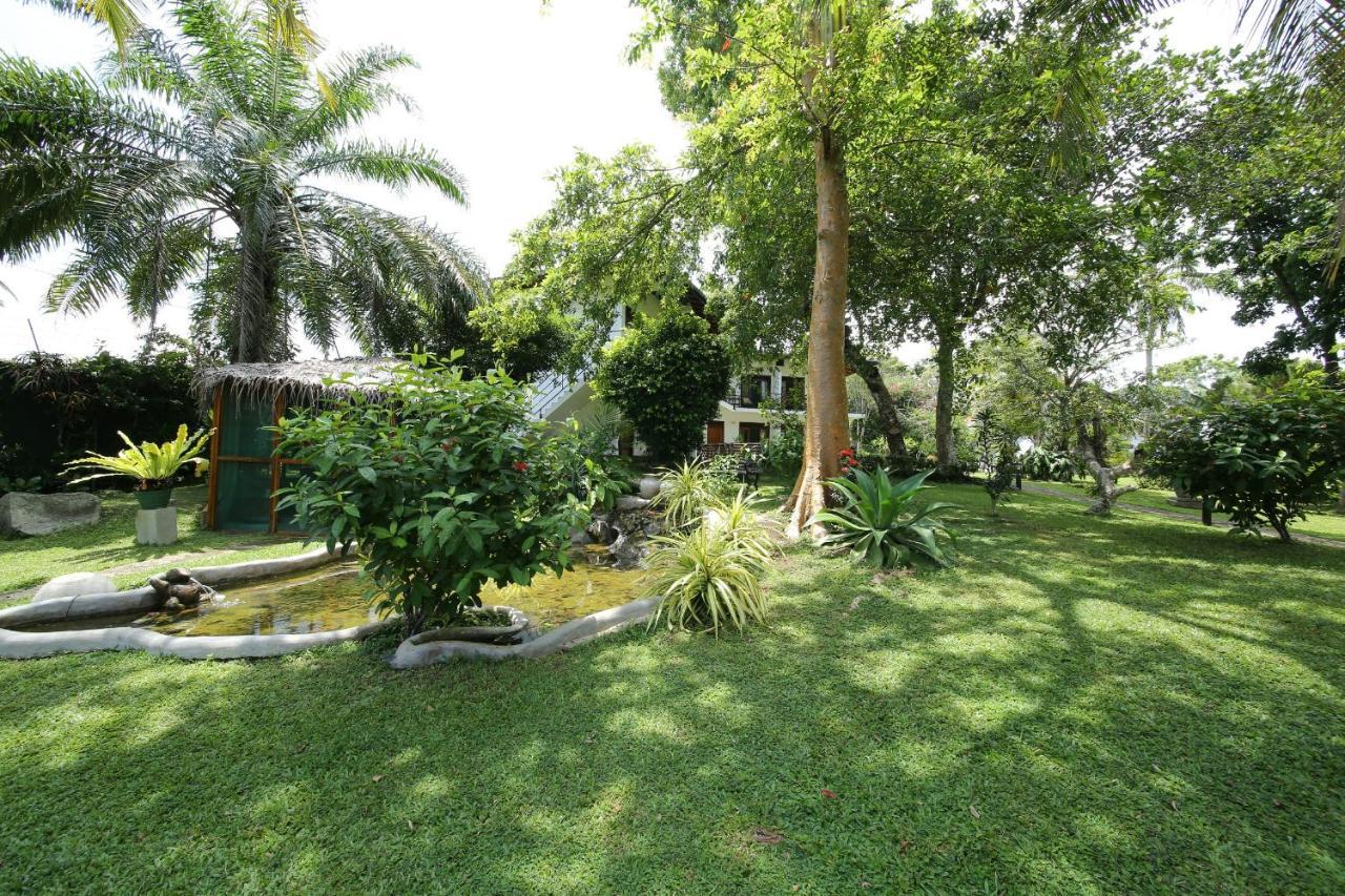 Ayurveda Centrum Lawrence Hill Paradise Hikkaduwa Luaran gambar